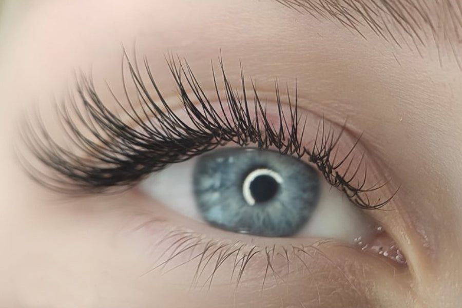 Gutschein Wimpernlifting