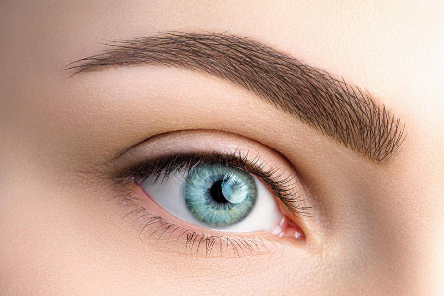 Gutschein Augenbrauen