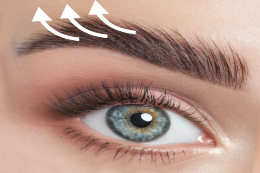 Gutschein Brow Lifting